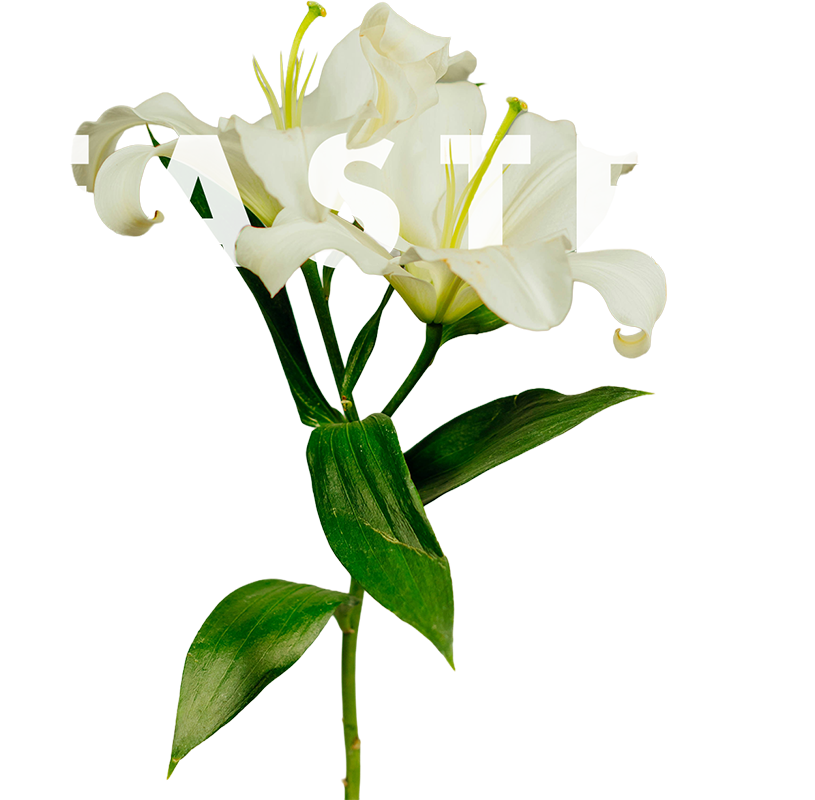 Easter at Ward Church